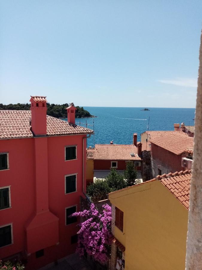 Casa Di Marko 105 M2 Garden Διαμέρισμα Ρόβινι Εξωτερικό φωτογραφία