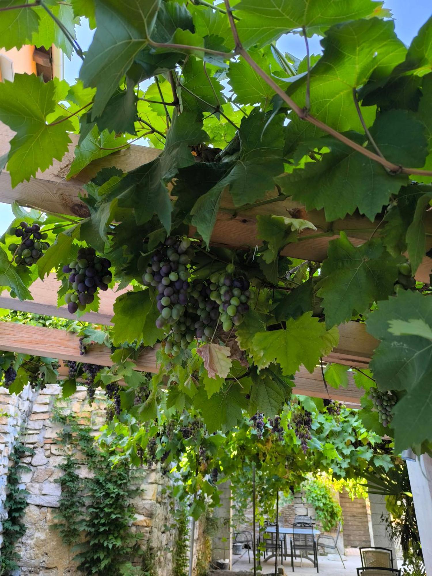Casa Di Marko 105 M2 Garden Διαμέρισμα Ρόβινι Εξωτερικό φωτογραφία