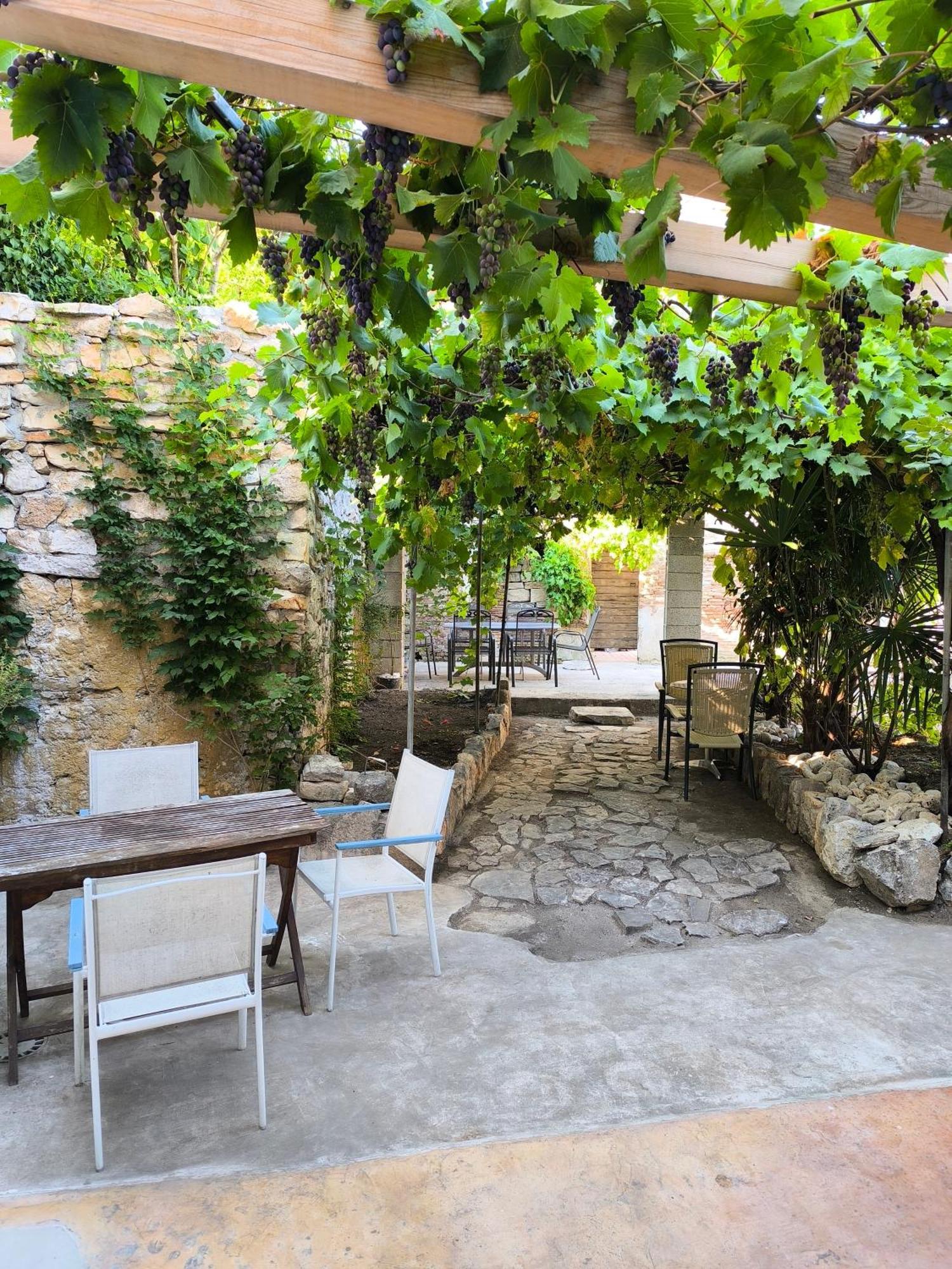 Casa Di Marko 105 M2 Garden Διαμέρισμα Ρόβινι Εξωτερικό φωτογραφία